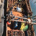 Single Trawler - 5 Aside Scalloper - picture 6